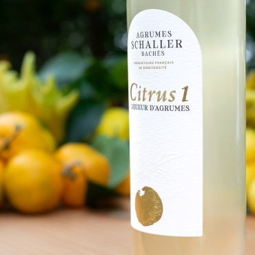 Citrus 1 liqueur d'agrumes, 50cl - Agrumes Schaller Bachès